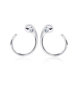 Silver Earring STS-2488